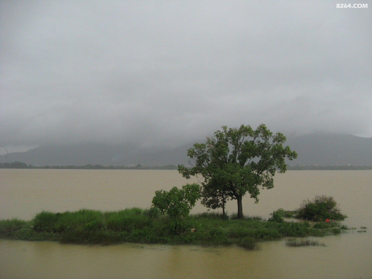 福州螺洲到吴凤水闸环岛路江滨漫步与溯透吴山河6月7日