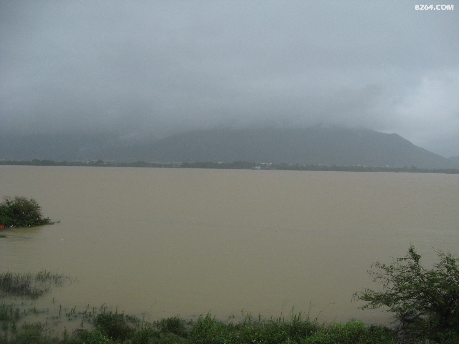 螺洲到吴凤水闸环岛路江滨漫步与溯透吴山河[6月7日] - 第8页 - 福建