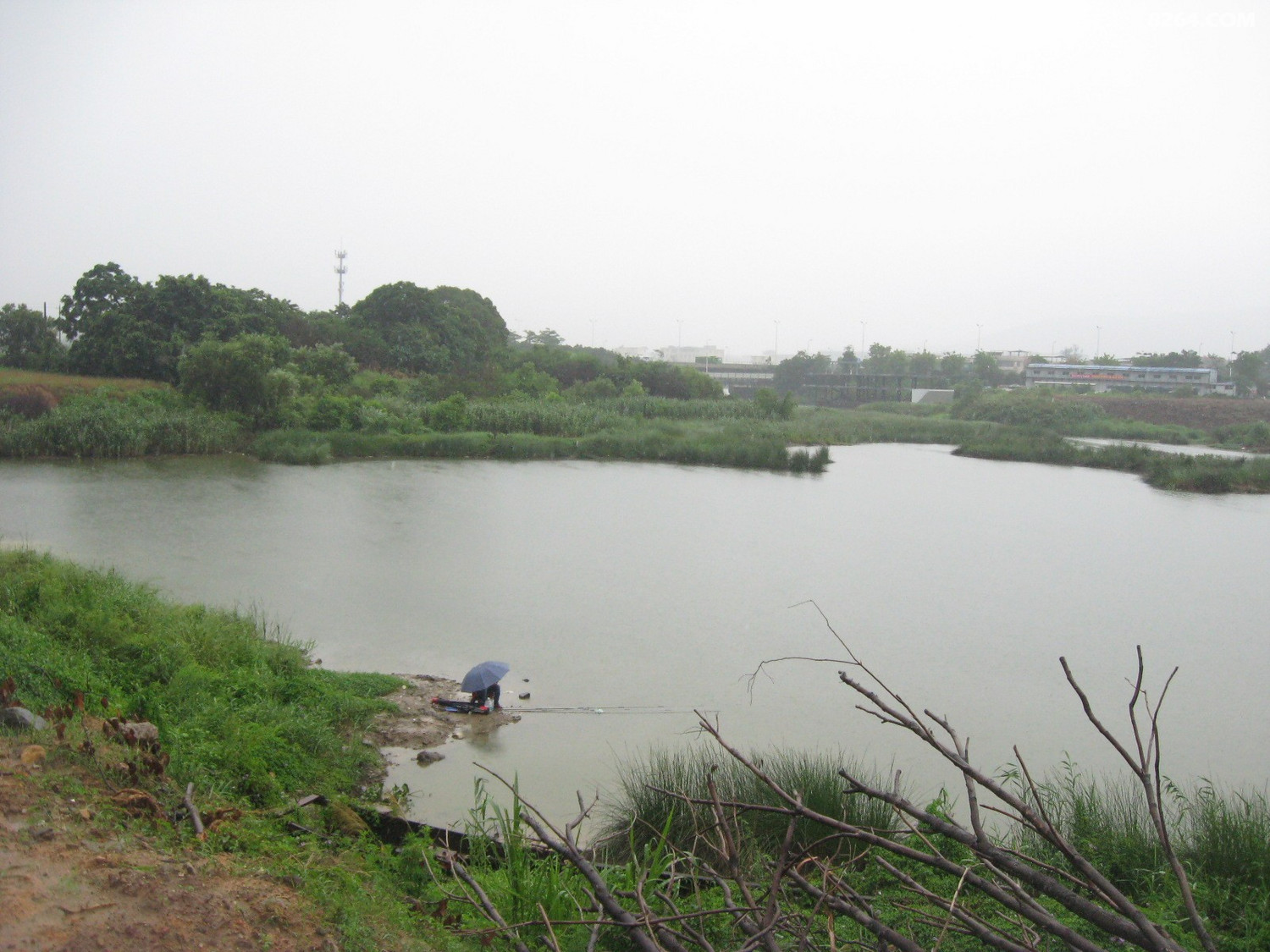 福州螺洲到吴凤水闸环岛路江滨漫步与溯透吴山河6月7日
