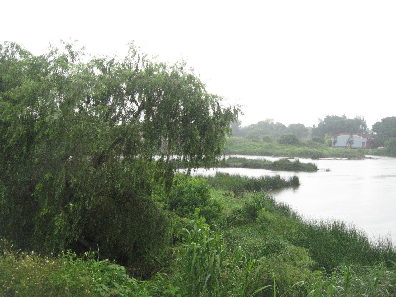 福州螺洲到吴凤水闸环岛路江滨漫步与溯透吴山河6月7日