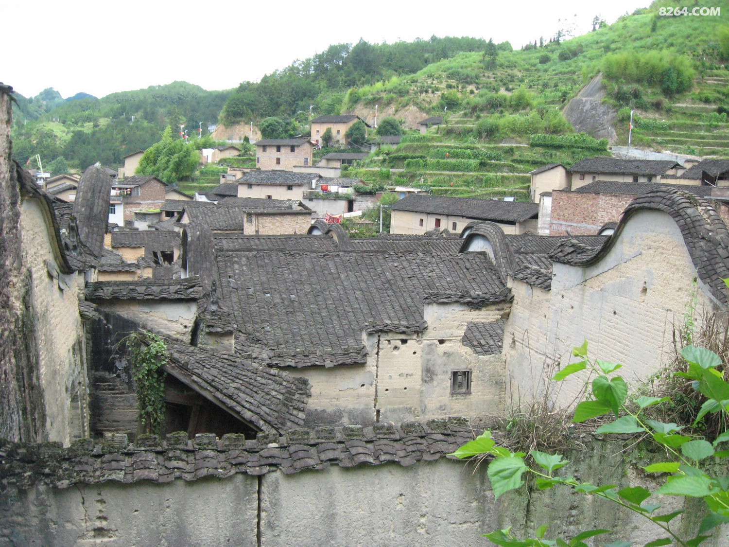 屏南寿山村老宅茶盐古道足球杯石柱探访6月13日