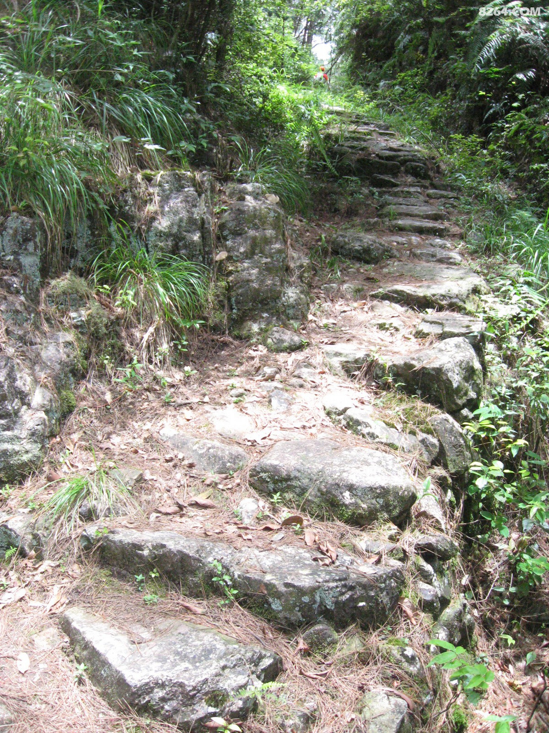 屏南寿山村老宅茶盐古道足球杯石柱探访6月13日