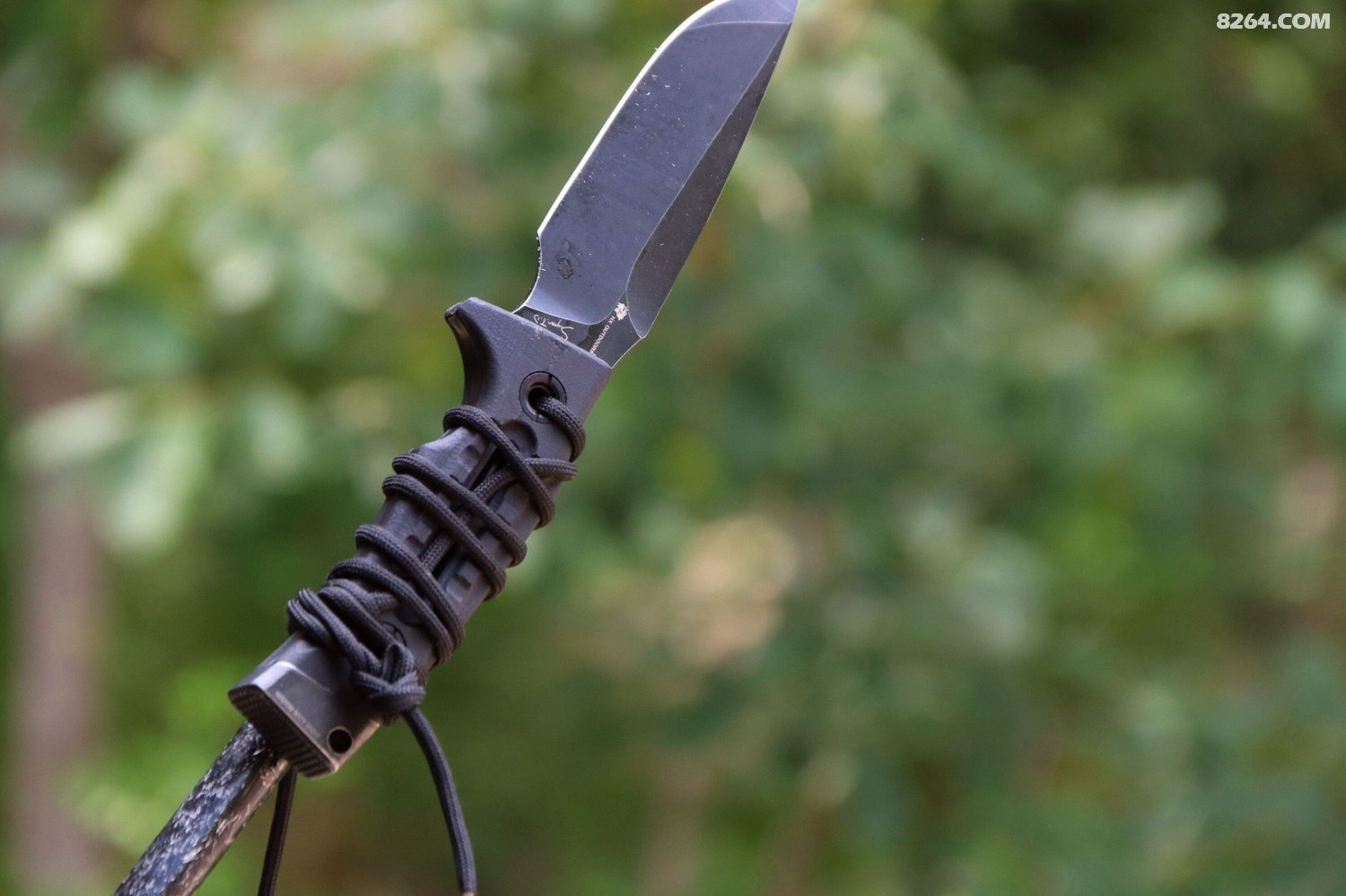 生存刀的优秀生汉道洛克x