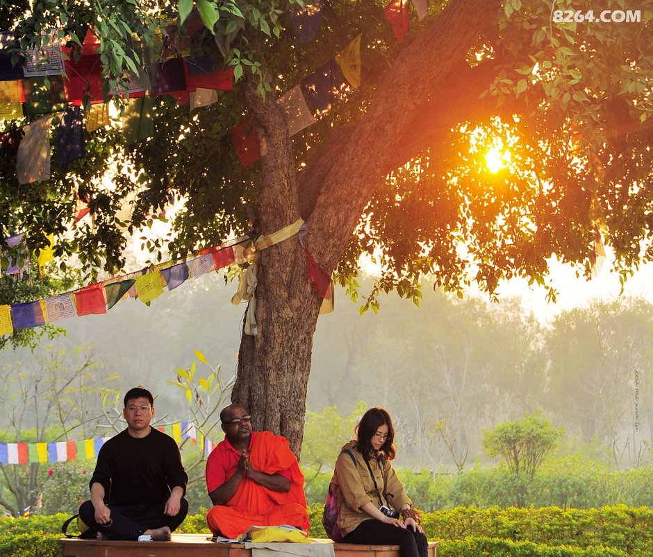 希望得悟正果这个水池是佛祖诞生后沐浴的地方菩提树下,静坐冥想园内