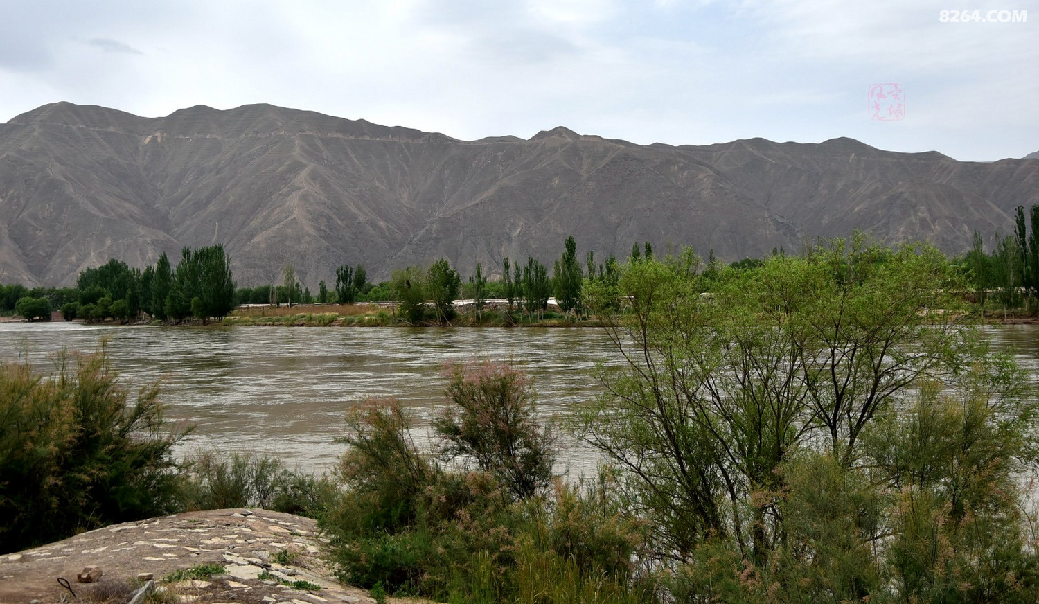 黄河岸边景色美