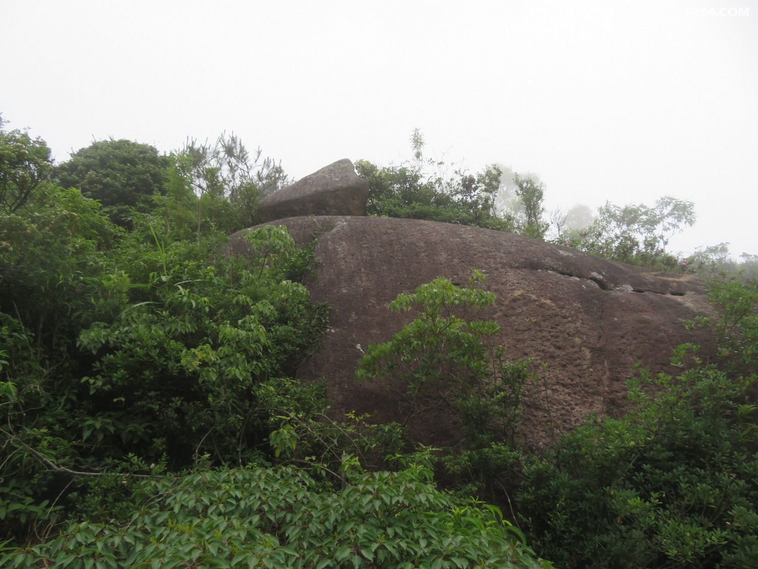 长乐竹田岩下游村穿越2020年6月20日