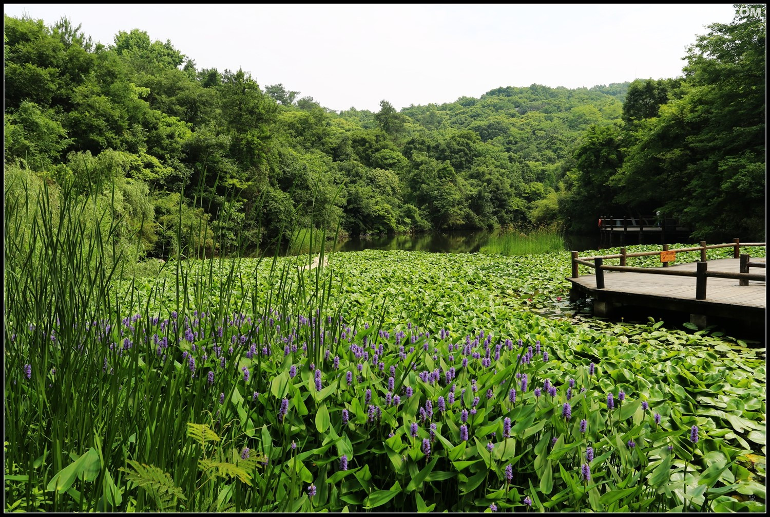 漫游天目湖山水园龙兴岛