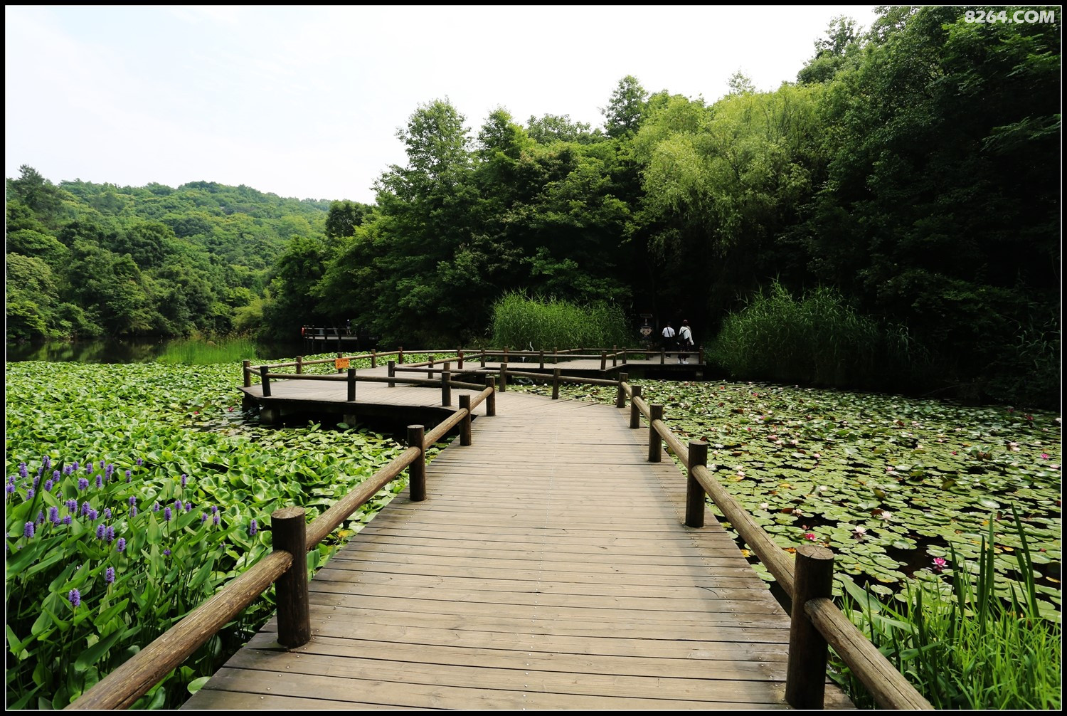 漫游天目湖山水园龙兴岛