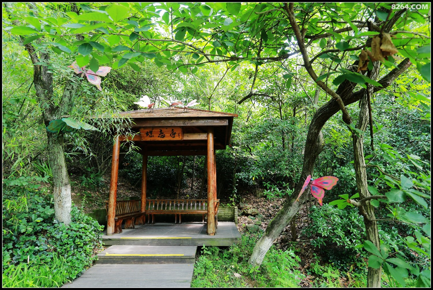 漫游天目湖山水园龙兴岛