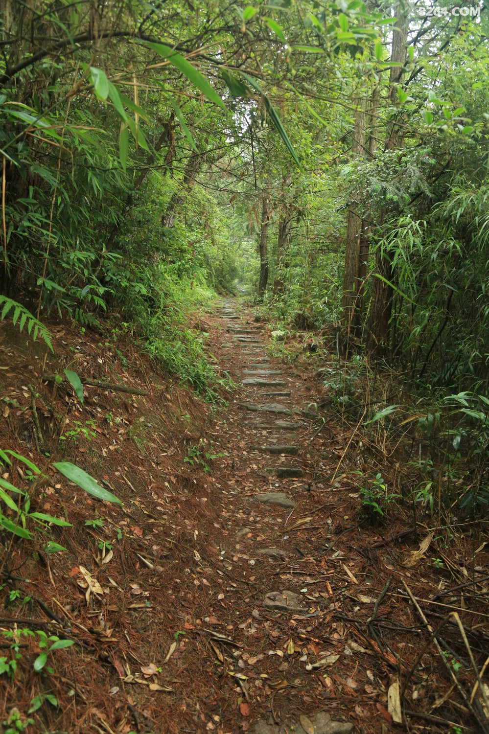 屏南茶盐古道之寿山村到白玉村