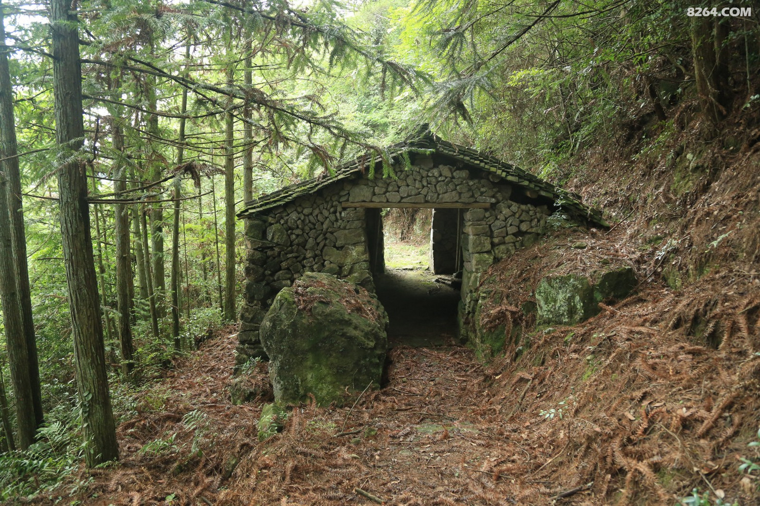 屏南茶盐古道之寿山村到白玉村