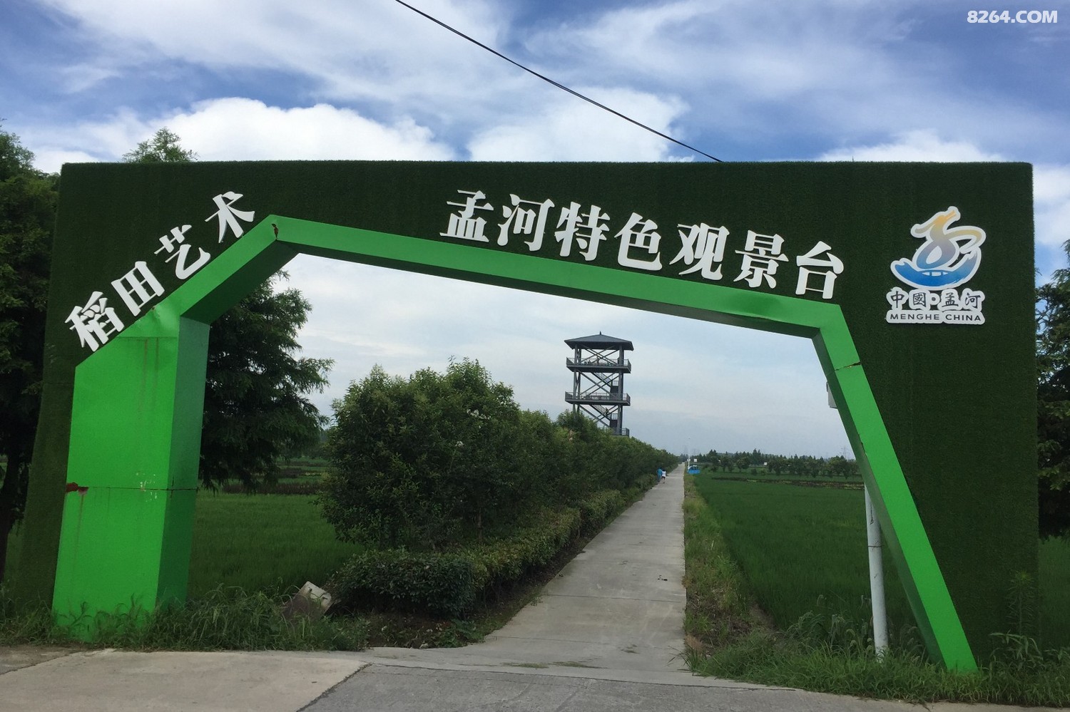 骑行常州孟河观赏稻田艺术