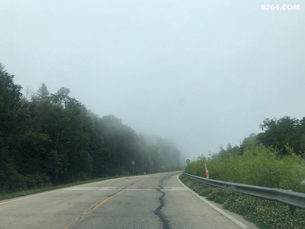 ��ʻ������˺��������������ơ�