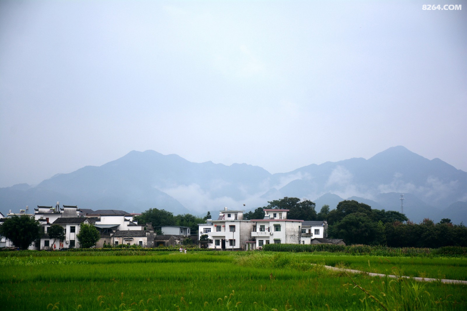 休宁万安古镇黄村进士第溪头三槐堂状元博物馆一日游