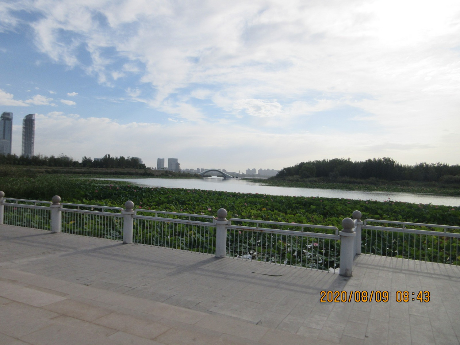 贺兰洪广镇20200809