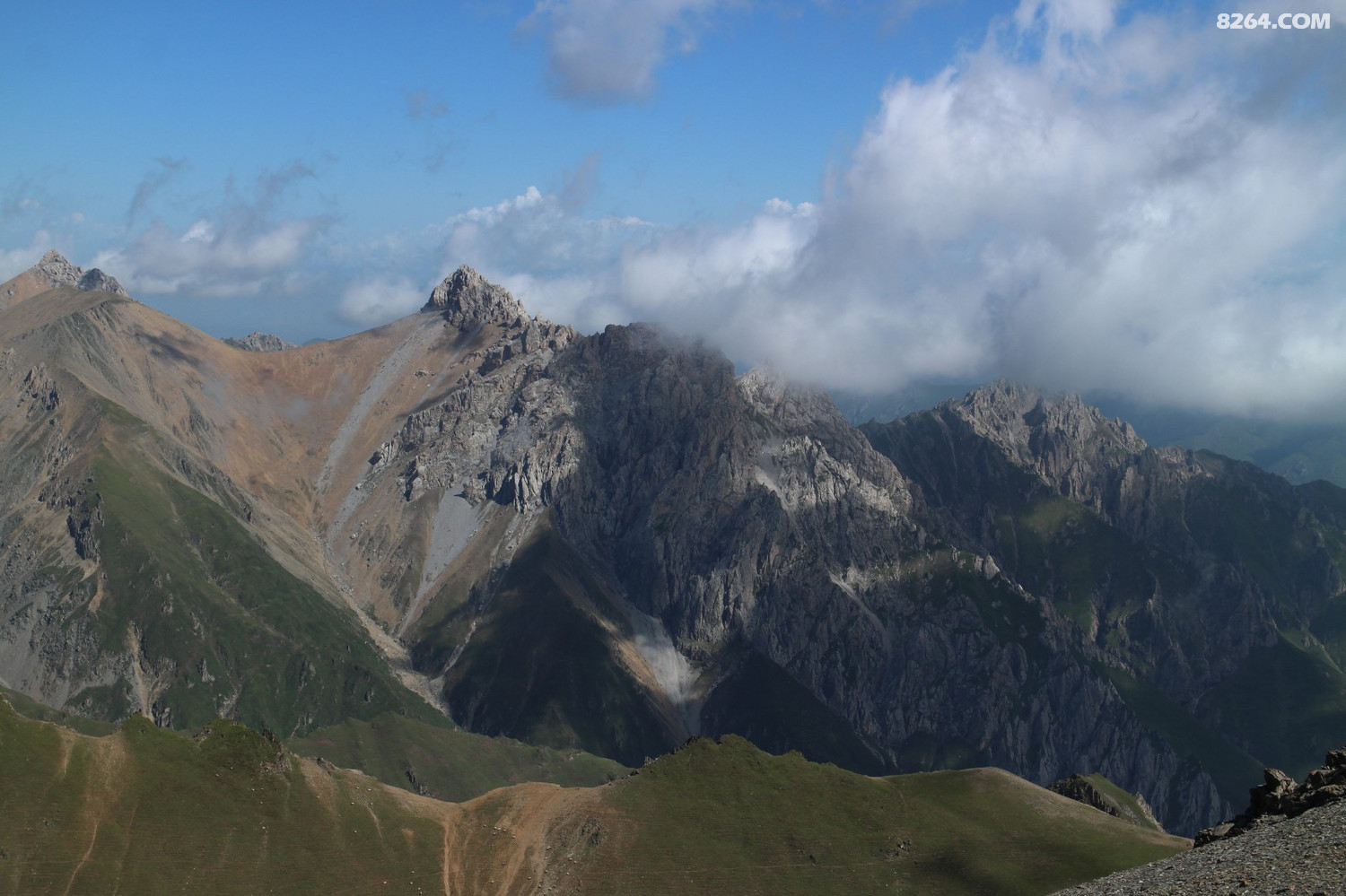 那一朵心上的雪莲花盛开在青阳山上