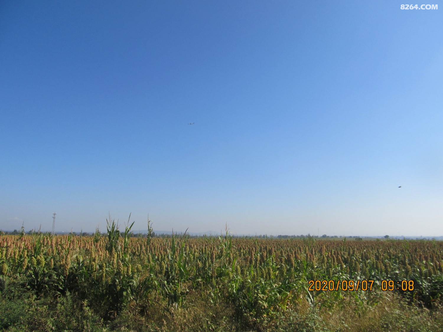 IMG_6337.JPG