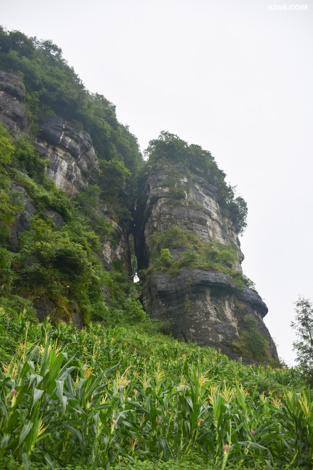 大美叙永 之 徒步叙永轿子山 - 第1页 - 四川 - 8264户外