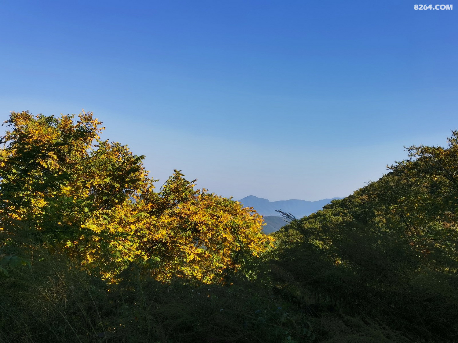 初临万岁山美景入眼帘林子户外第494次本溪小穿越活动