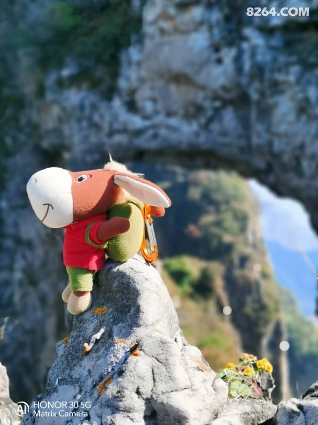 6-8ս̫˫봩ԽС¿ڿɽӰ