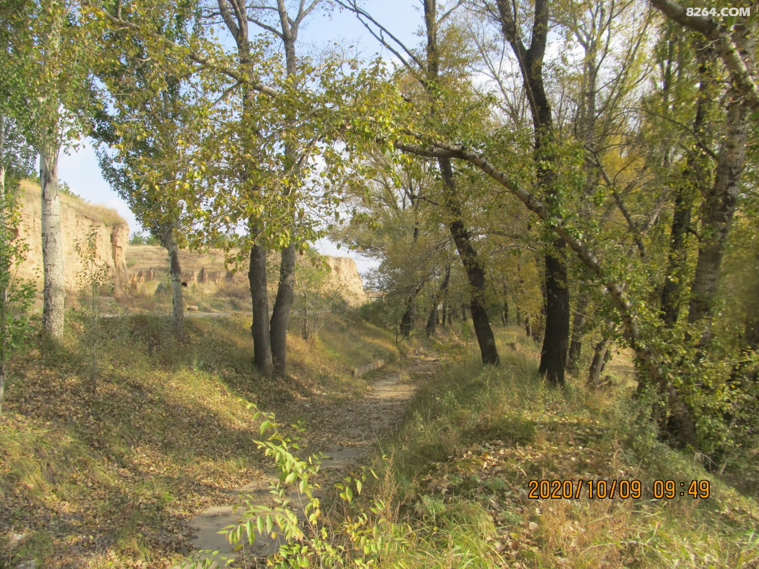 IMG_6575.JPG