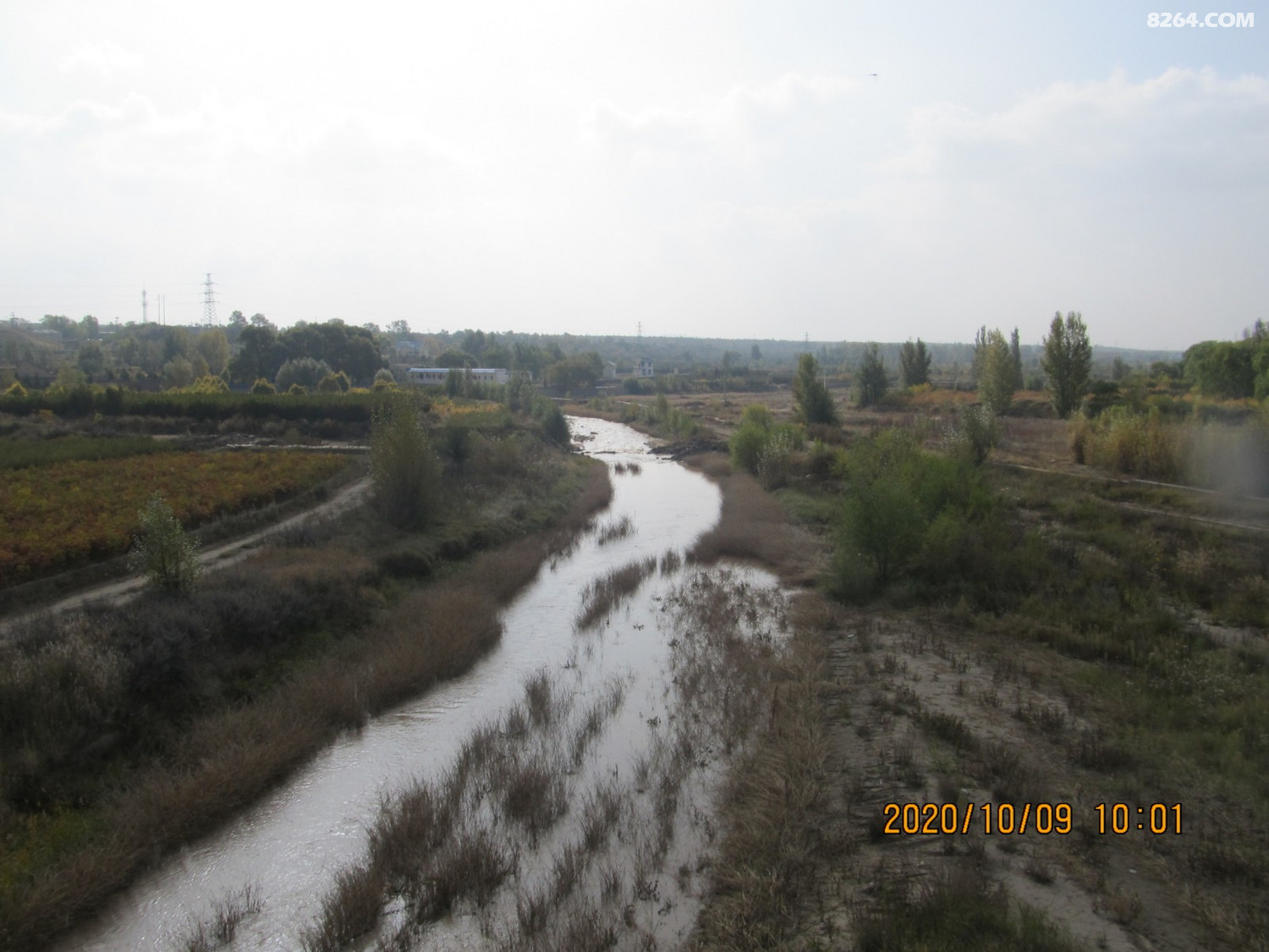 IMG_6584.JPG