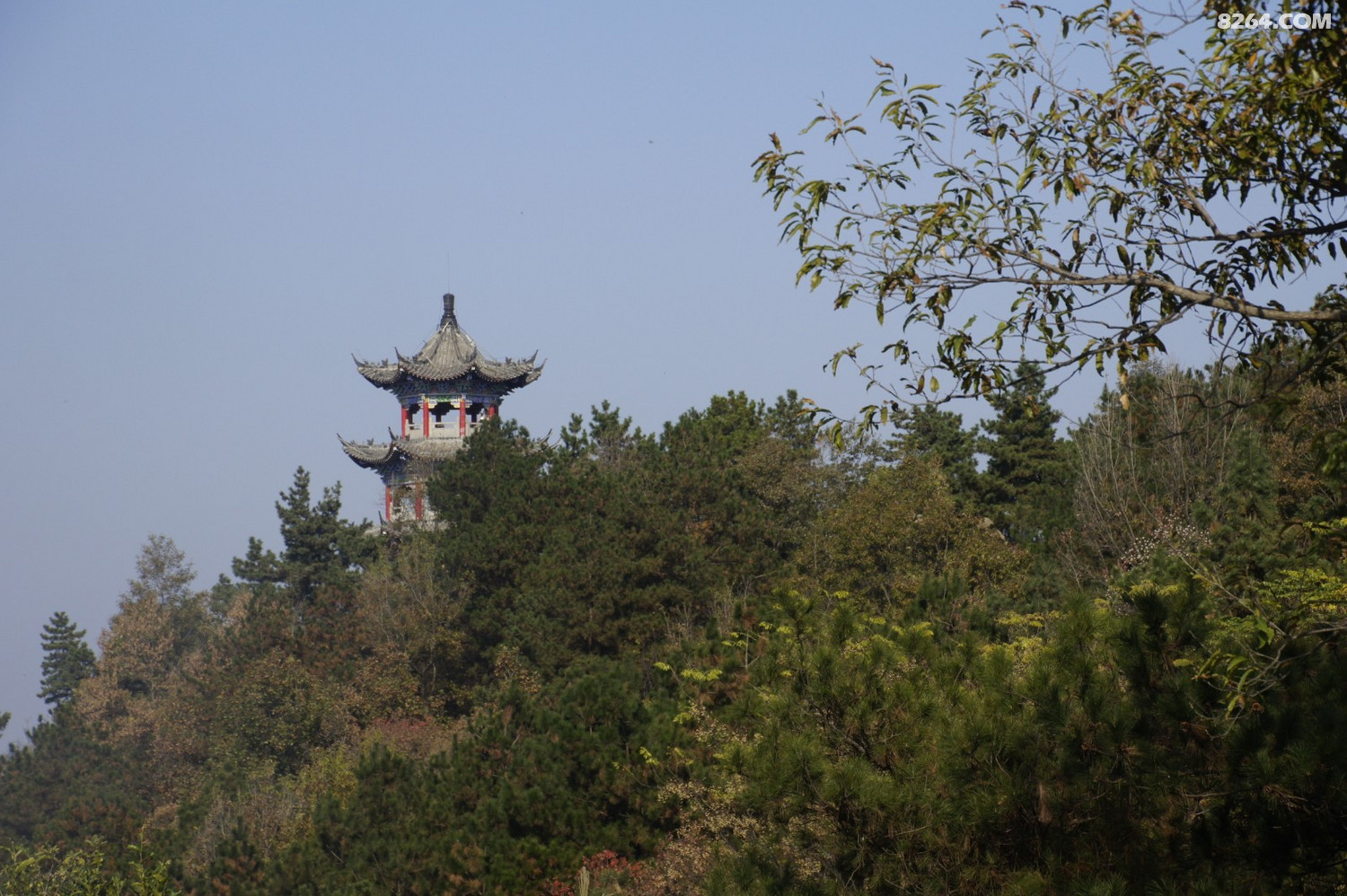 祖师顶桐柏