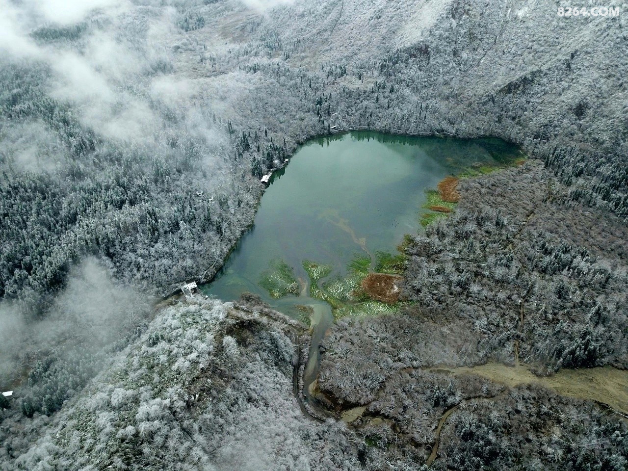 都江堰龙池一日往返赏雪观湖活动