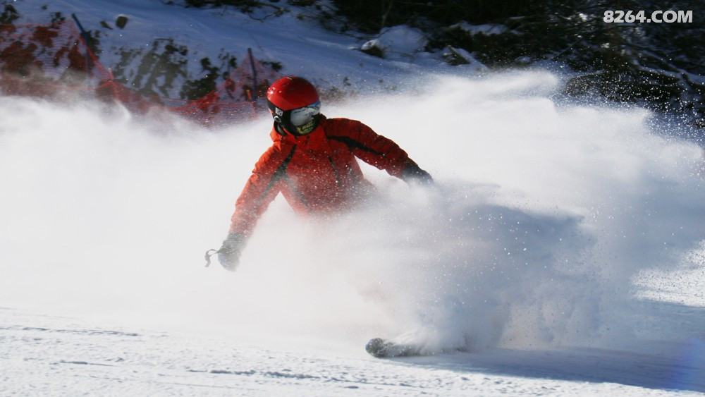 6号周日!开业特惠!全年仅此一次!