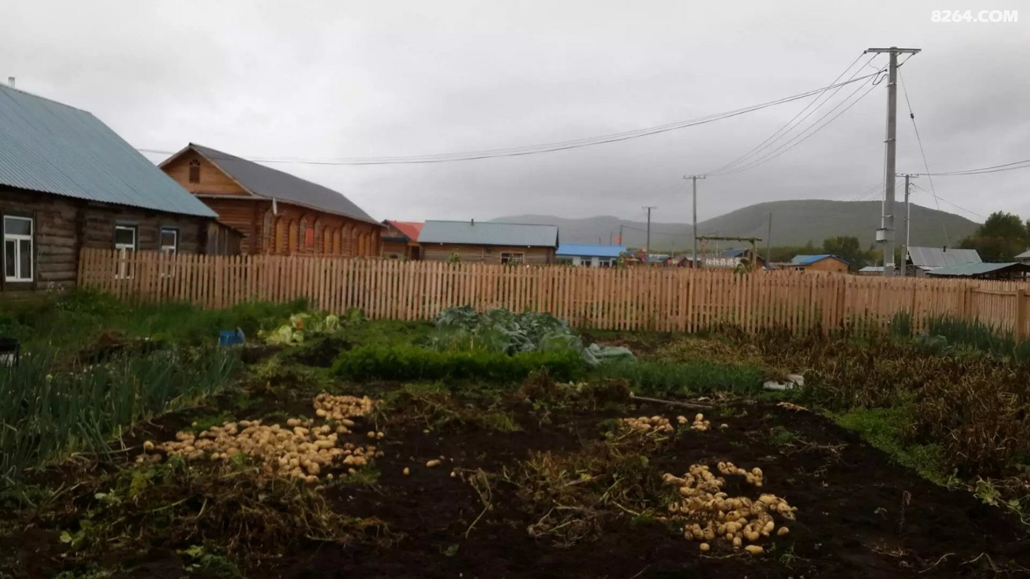 QQͼƬ20201213150657 - ����.jpg