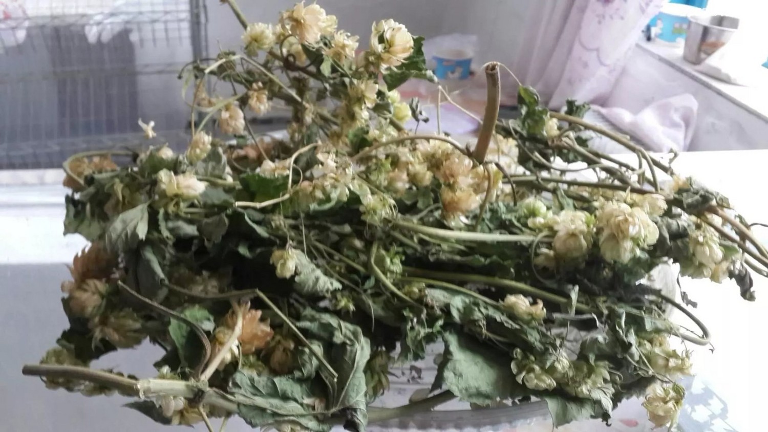 QQͼƬ20201213150929 - ����.jpg