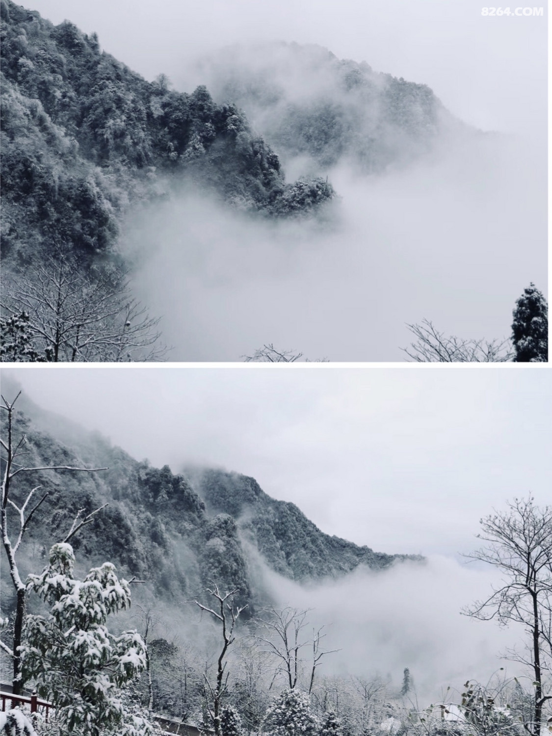 下雪实拍冬季成都周末游玩成都市区出发15h青城山后山景区