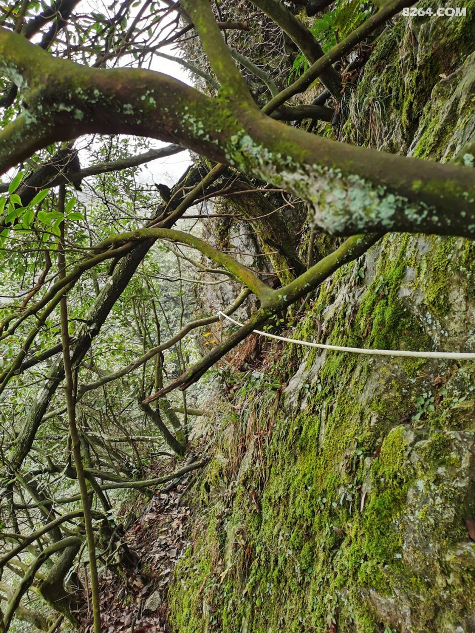 独探新化南,仙人指路棋盘石(全文3200字)