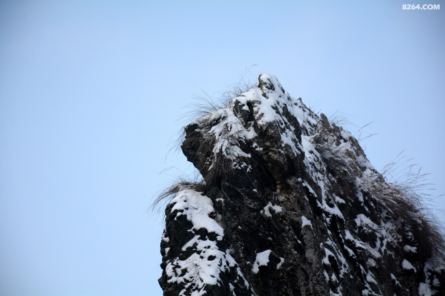 DSC_2382_����  1.jpg