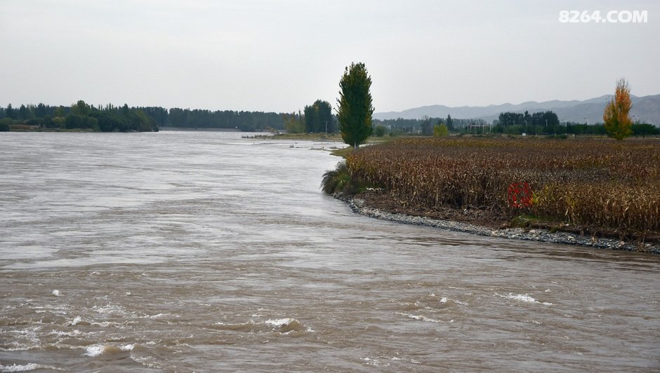 黄河谷地秋色浓
