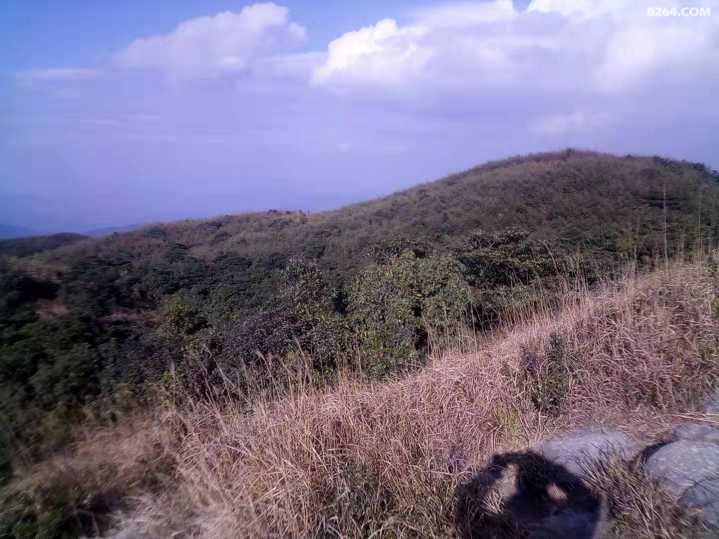΢ͼƬ_20210101194825.jpg
