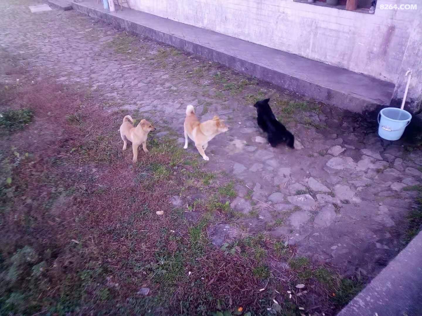 ΢ͼƬ_20210101194846.jpg