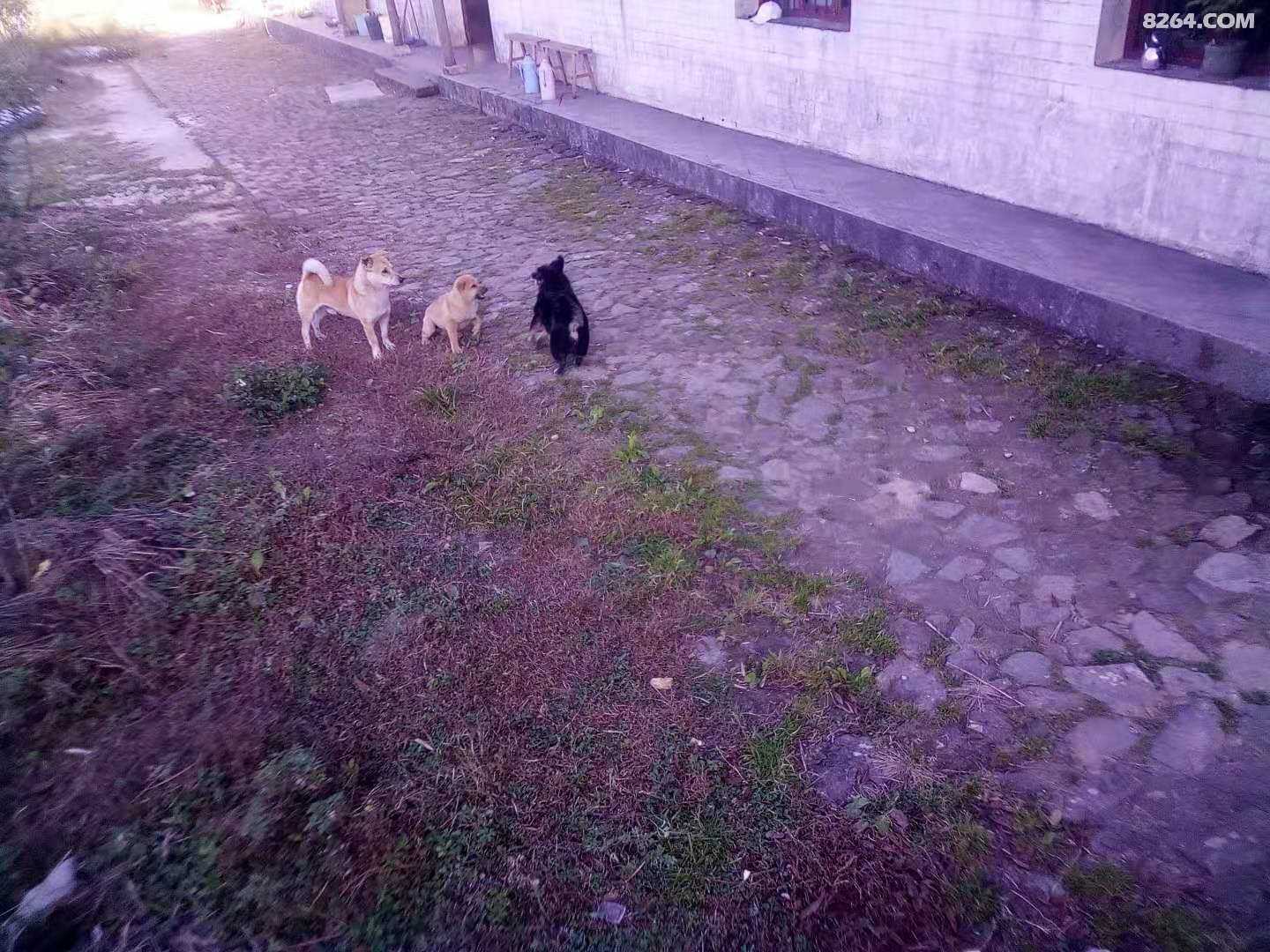 ΢ͼƬ_20210101194851.jpg