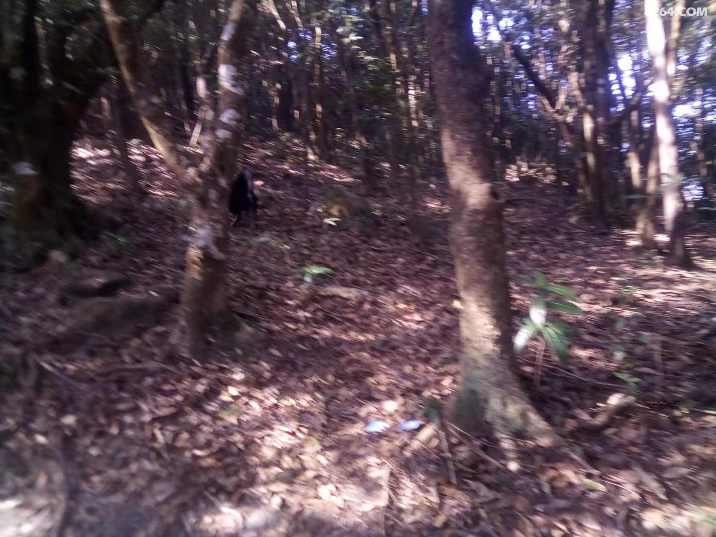 ΢ͼƬ_20210101194959.jpg