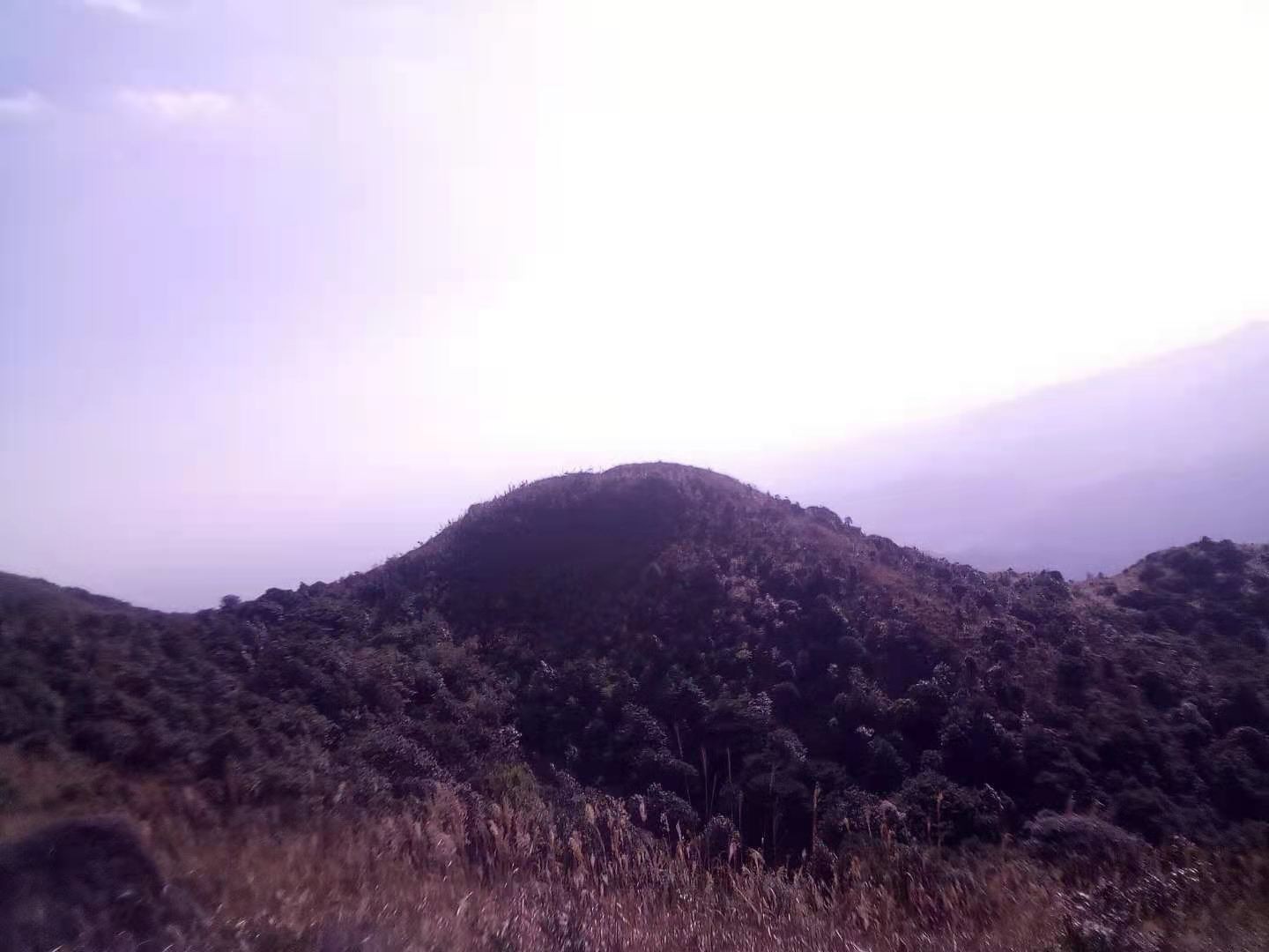 ΢ͼƬ_20210101194841.jpg