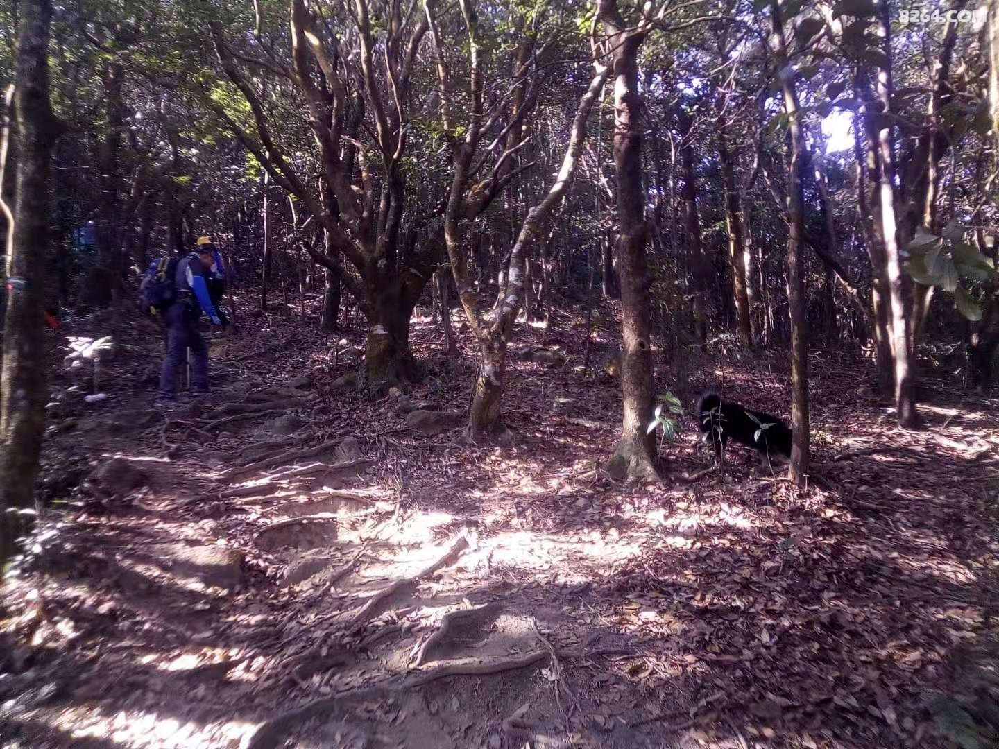 ΢ͼƬ_20210101194952.jpg