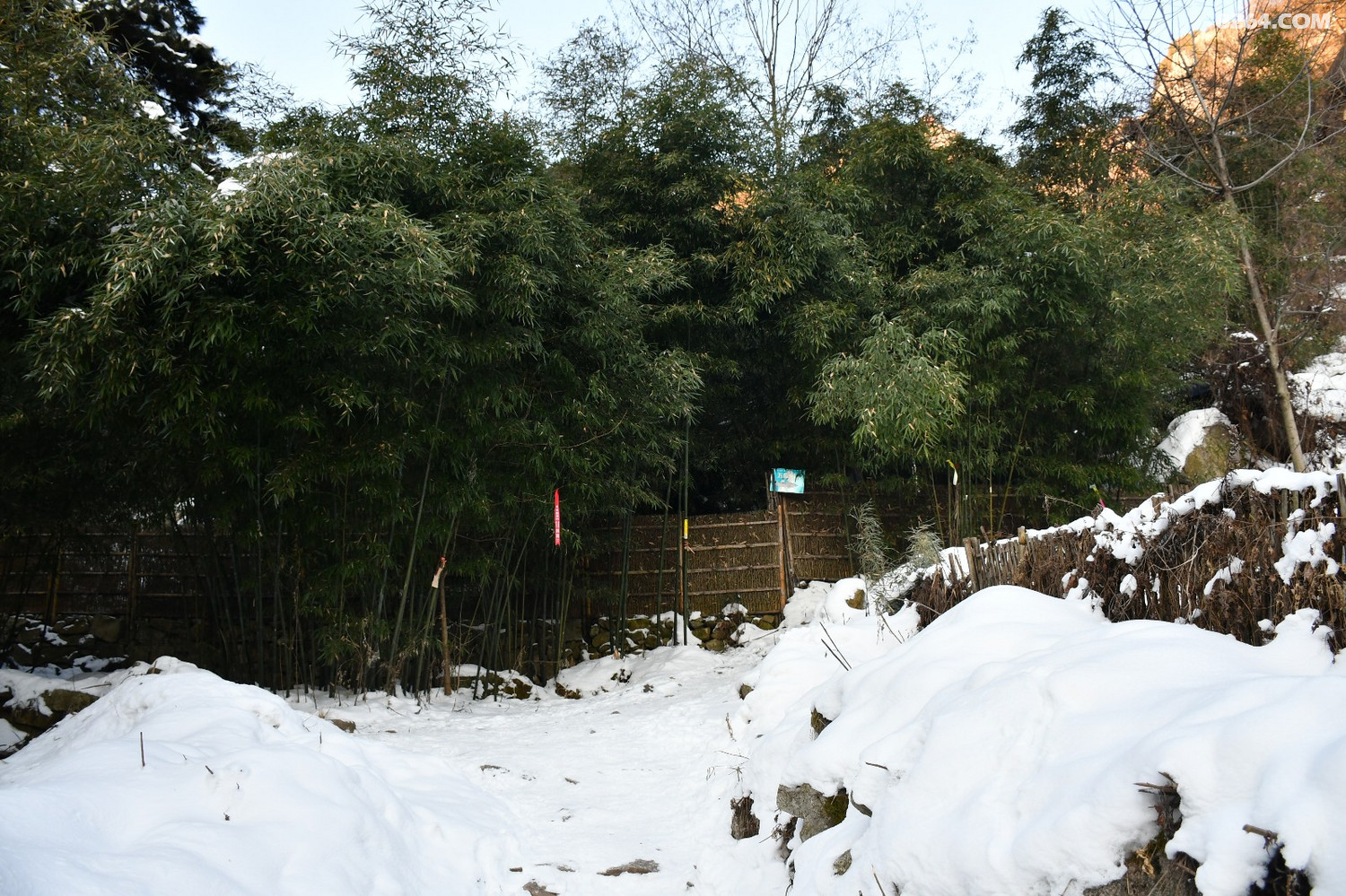 1太乙峪西岔沟登南五台~~踏雪祈福