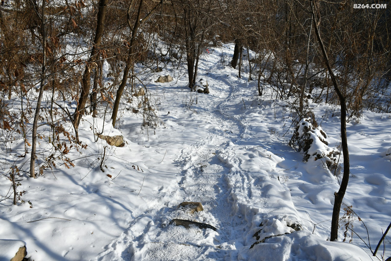 1太乙峪西岔沟登南五台~~踏雪祈福