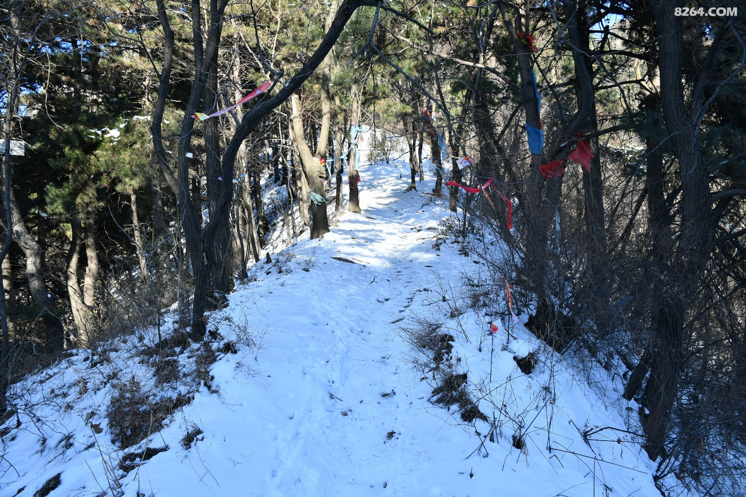 1太乙峪西岔沟登南五台~~踏雪祈福