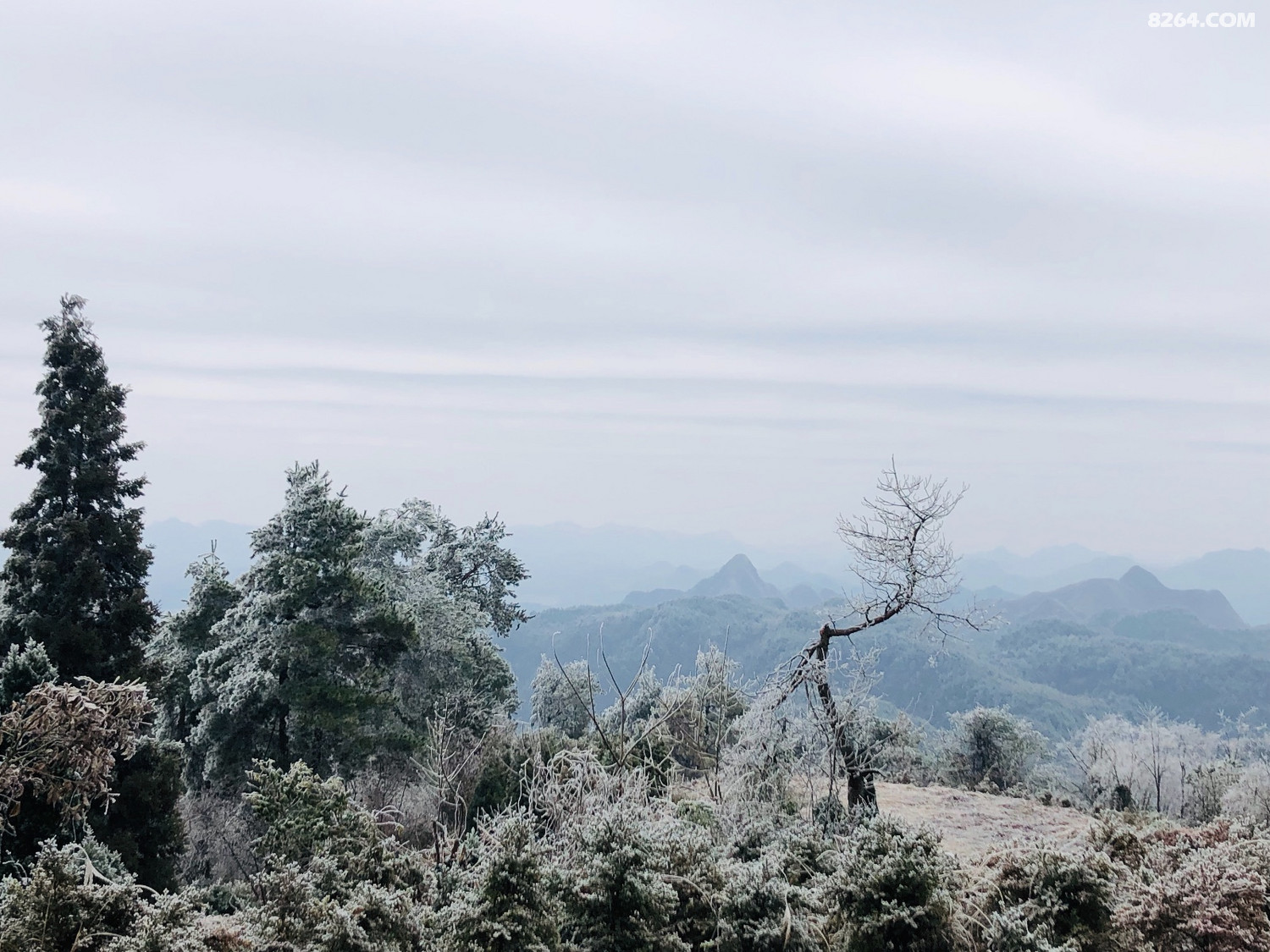 贵阳有座云雾山