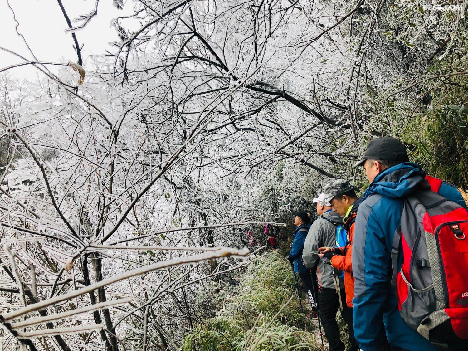 贵阳有座云雾山