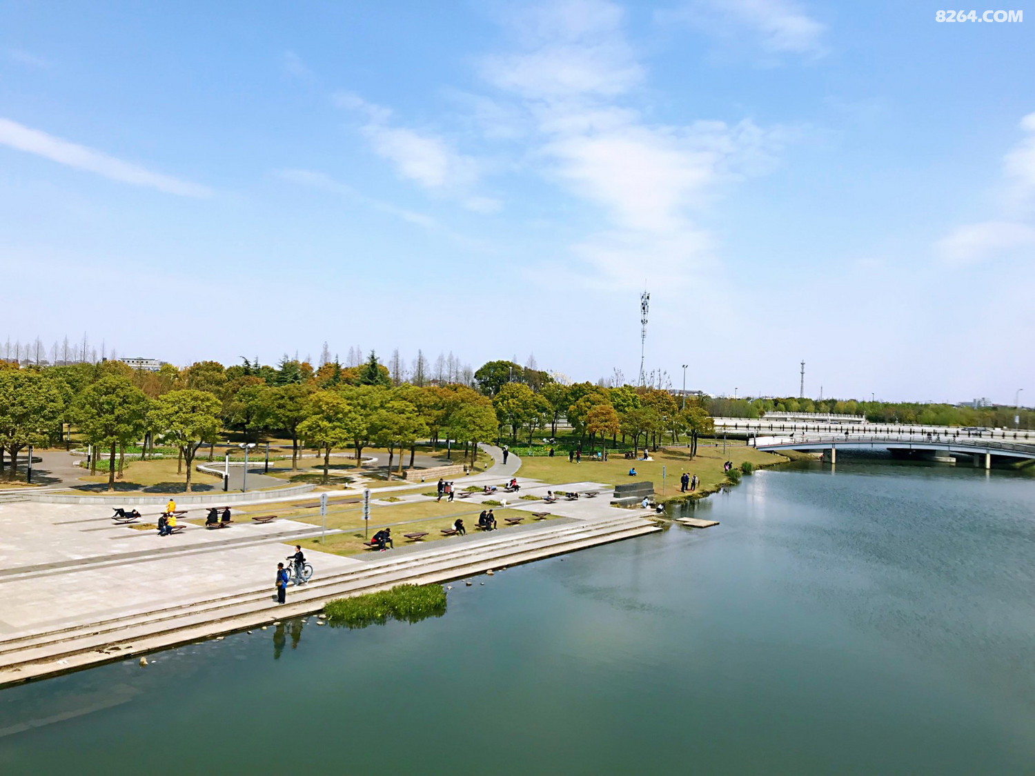 一起过春节2月13日轰趴聚餐嘉定紫气东来湿地远香湖徒步