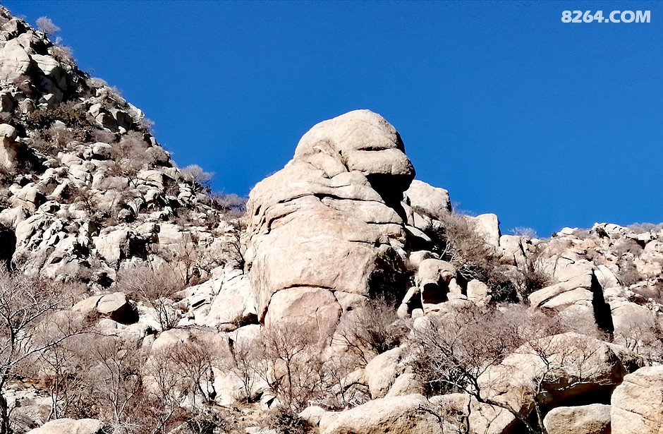 贺兰山奇石
