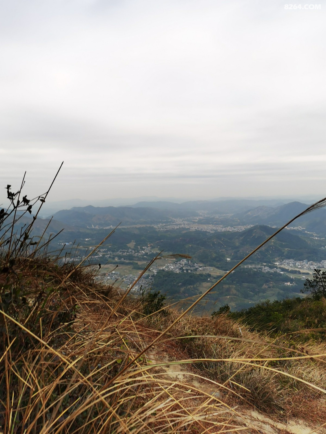 IMG_20210109_090858.jpg