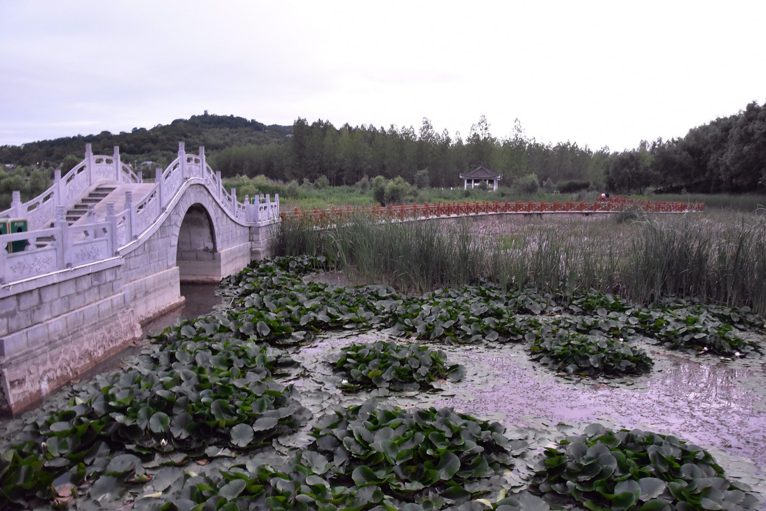 傍晚时分的西和晚霞湖风光